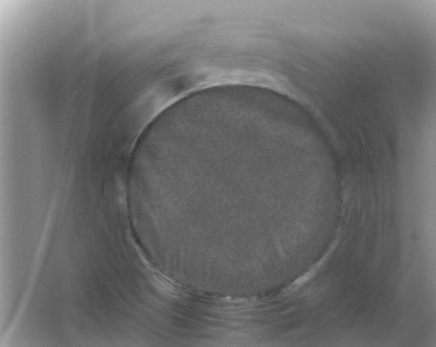 X0000063501505200602172104