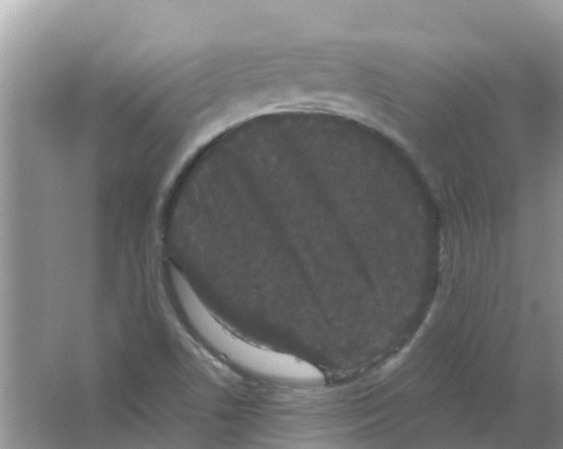 X0000063501506200602172104