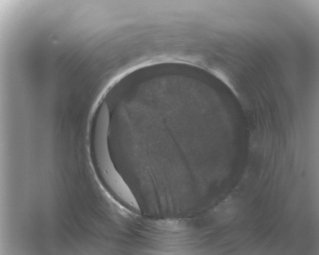 X0000063501508200602172104