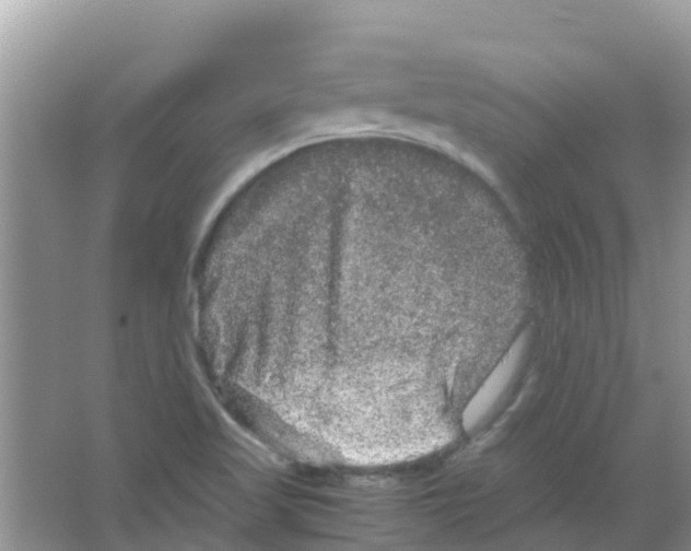 X0000063501509200602172105