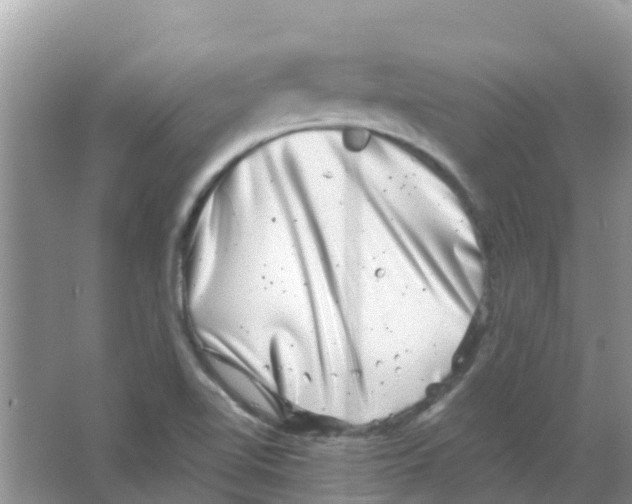 X0000063501510200602172105