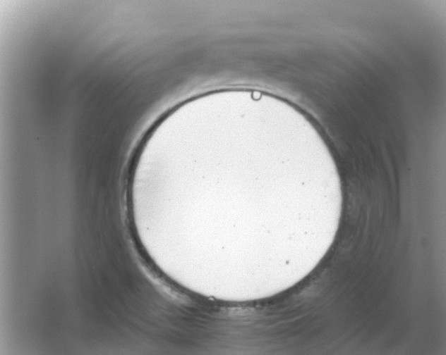 X0000063501511200602172105