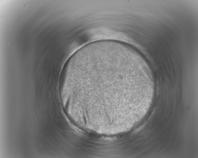 X0000063501513200602172105