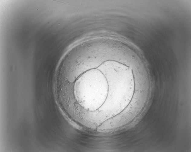 X0000063501514200602172105