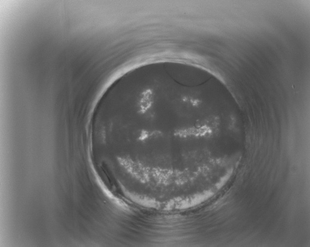 X0000063501515200602172105