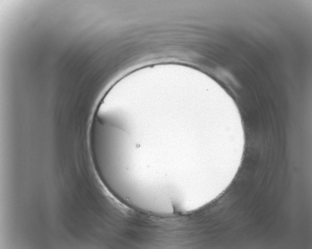 X0000063501516200602172105