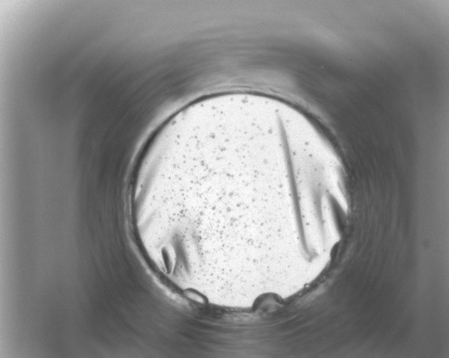 X0000063501517200602172105