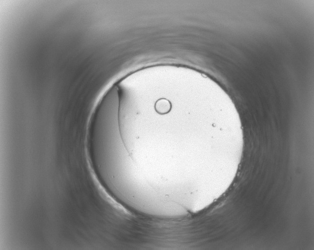 X0000063501518200602172105