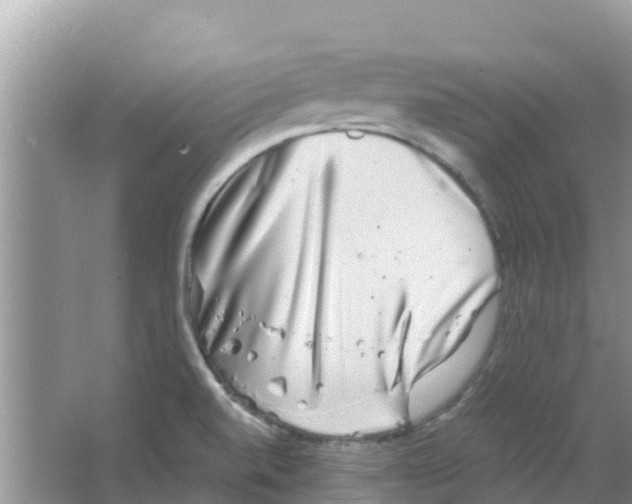 X0000063501520200602172105