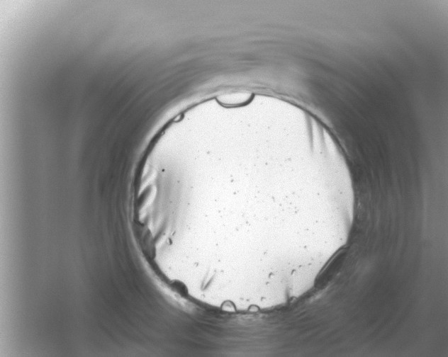 X0000063501523200602172105