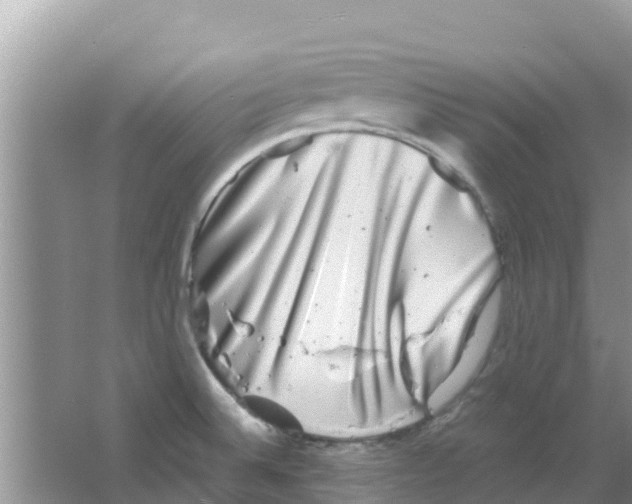 X0000063501524200602172105