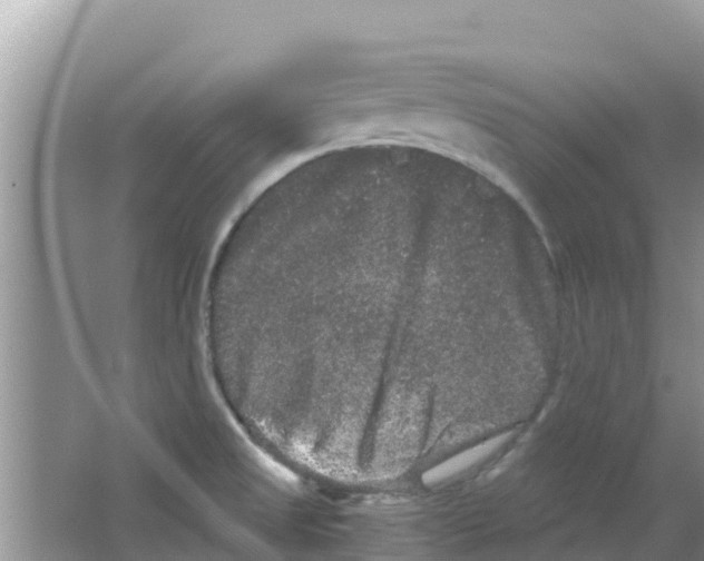 X0000063501525200602172105