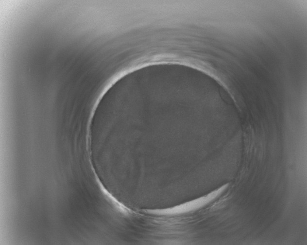 X0000063501527200602172105