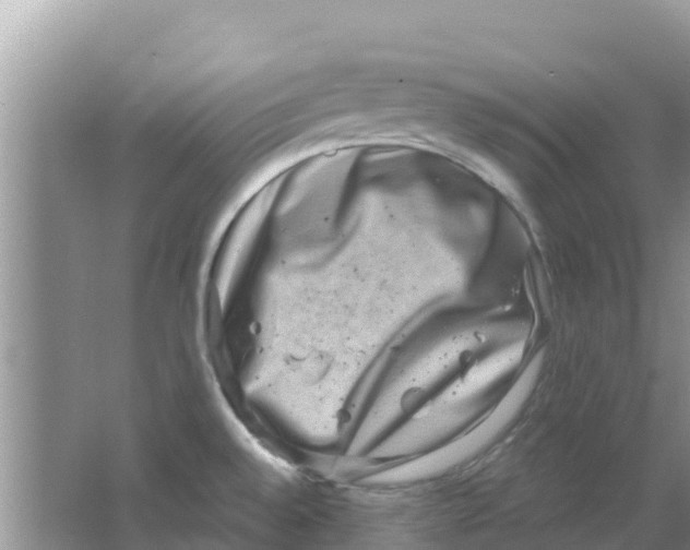 X0000063501528200602172105