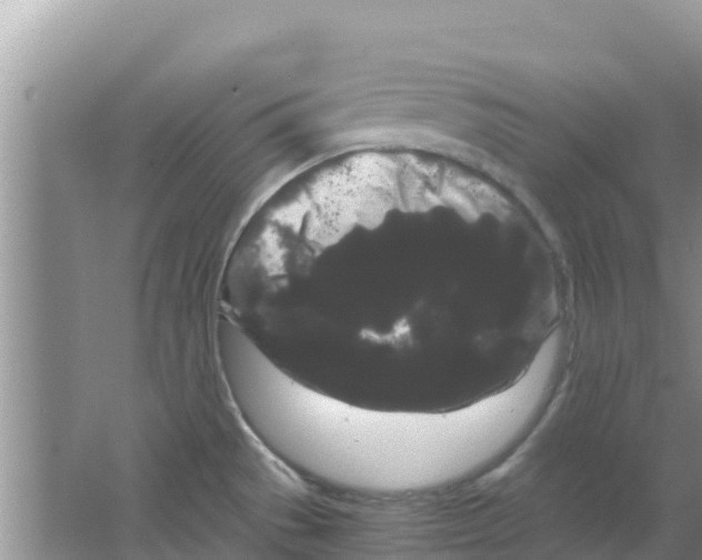 X0000063501529200602172105