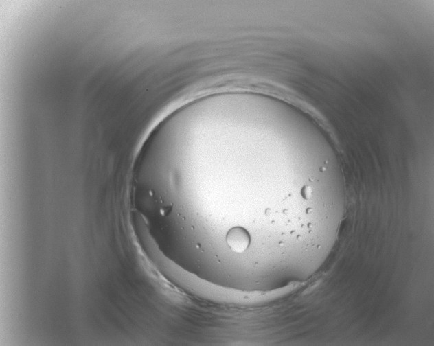 X0000063501530200602172105