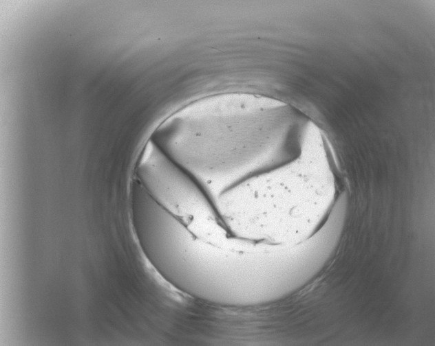 X0000063501532200602172105