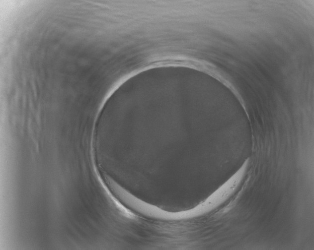 X0000063501533200602172105