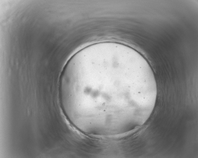 X0000063501534200602172105