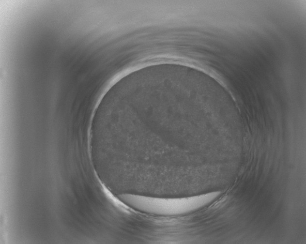 X0000063501535200602172105