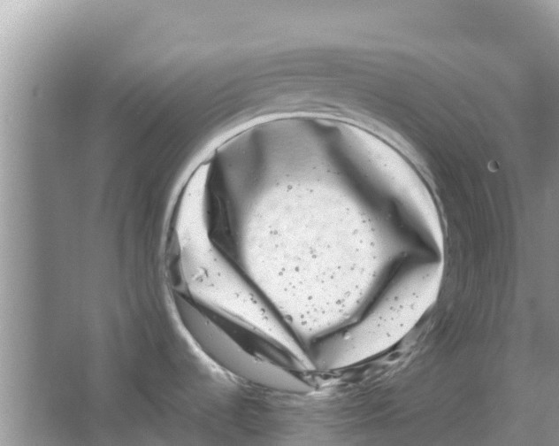 X0000063501536200602172105