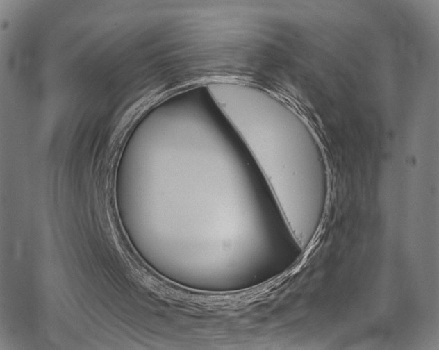 X0000063510001200601201103