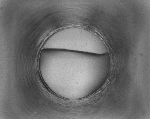 X0000063510002200601201103