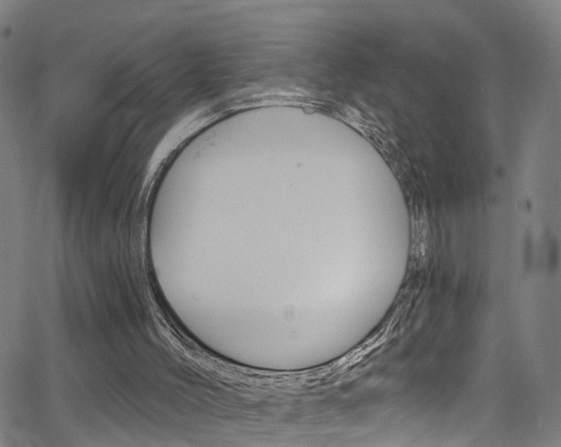 X0000063510004200601201103