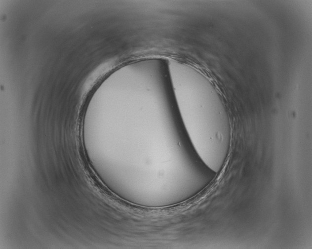 X0000063510006200601201103