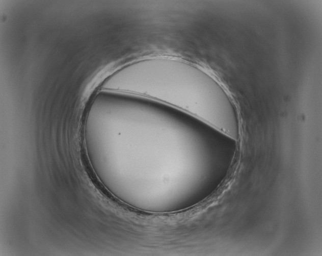 X0000063510007200601201103