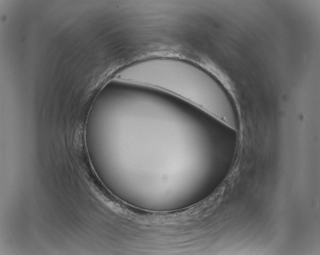 X0000063510009200601201103