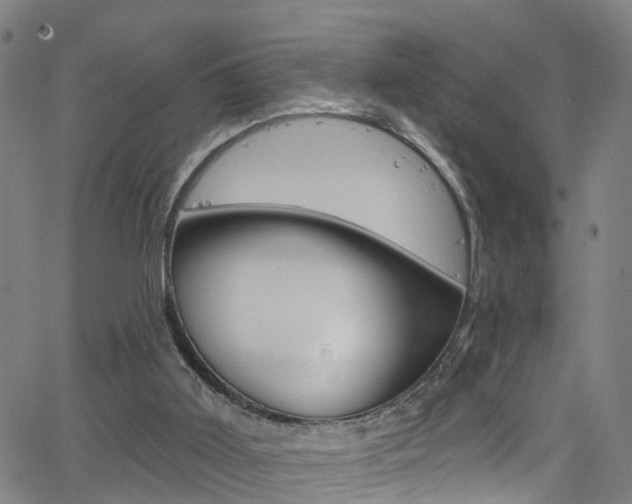 X0000063510011200601201103