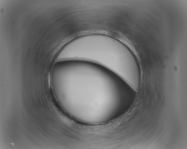 X0000063510013200601201103