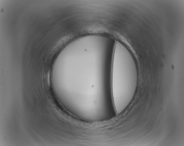 X0000063510019200601201103