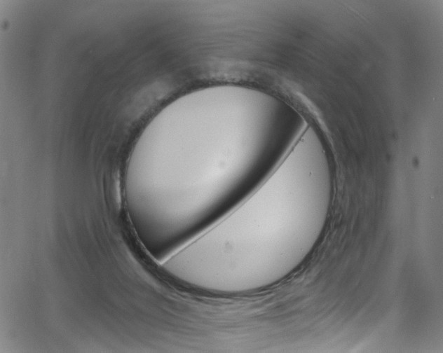 X0000063510020200601201103