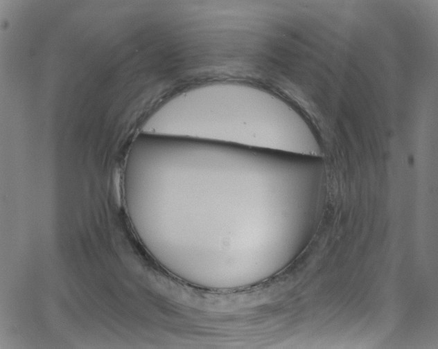 X0000063510022200601201103