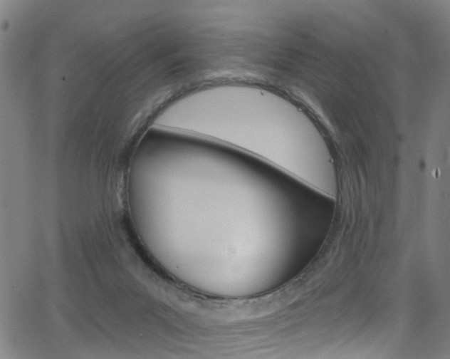 X0000063510023200601201103