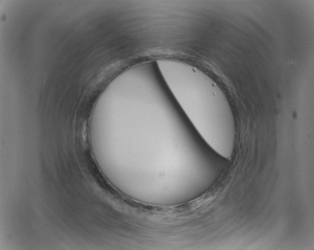 X0000063510024200601201103