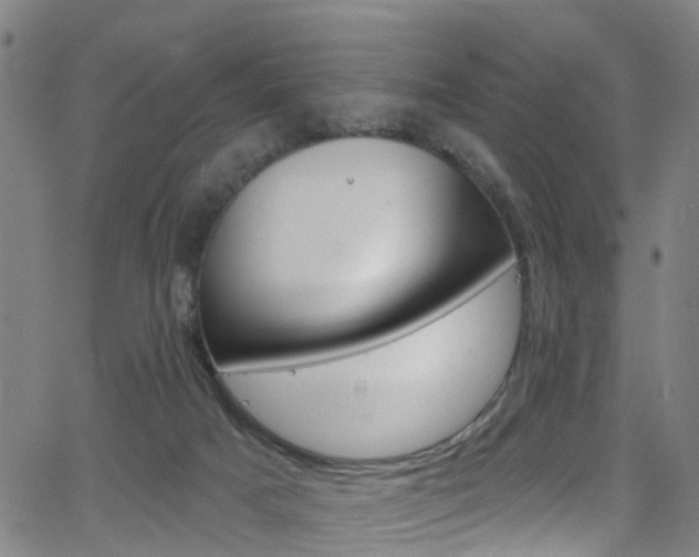 X0000063510025200601201103