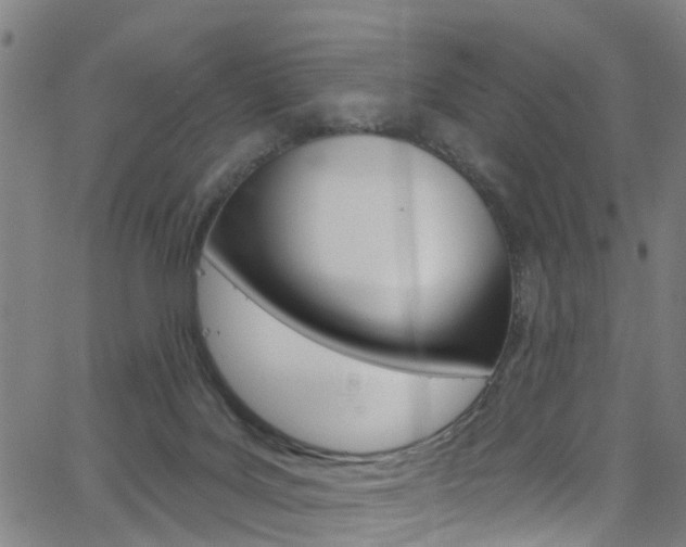 X0000063510027200601201103