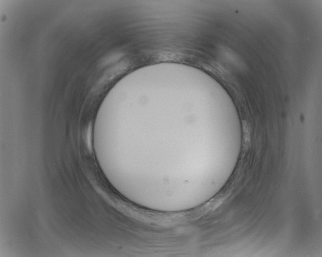 X0000063510028200601201103