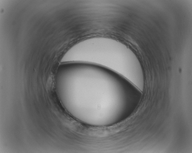 X0000063510029200601201103