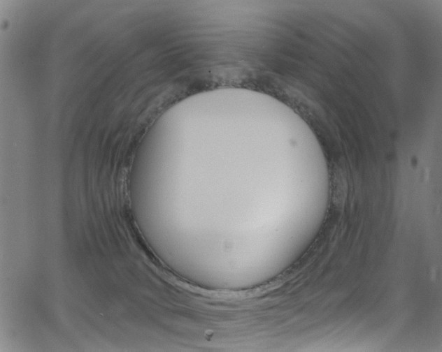 X0000063510034200601201103