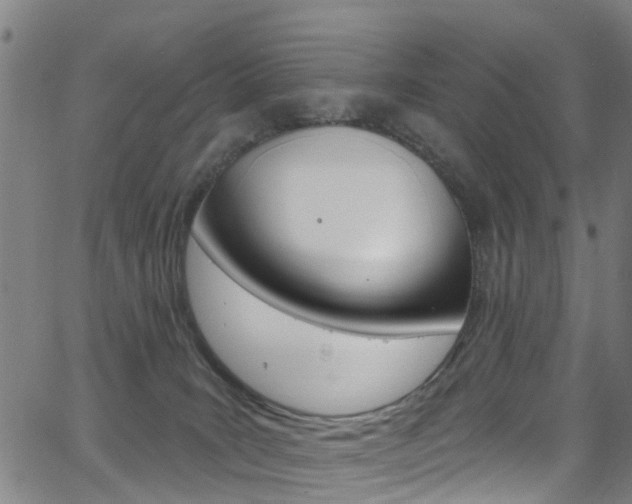 X0000063510035200601201103