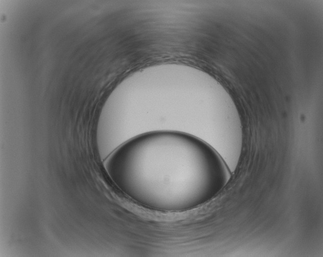 X0000063510039200601201103