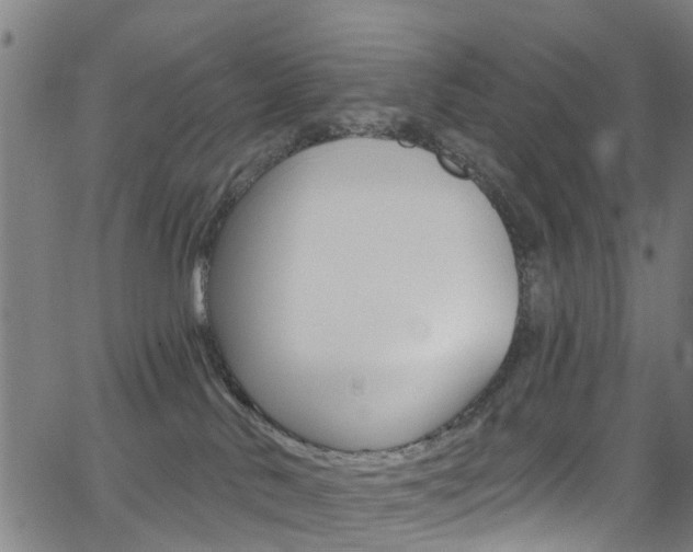 X0000063510042200601201103