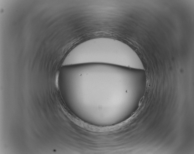 X0000063510047200601201103