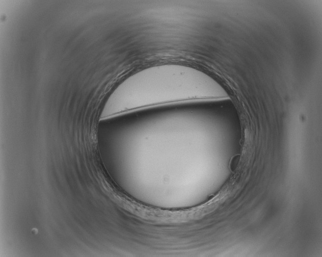 X0000063510048200601201102