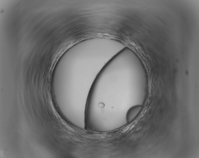 X0000063510049200601201102