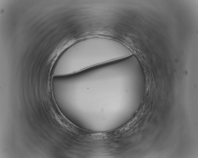 X0000063510050200601201102